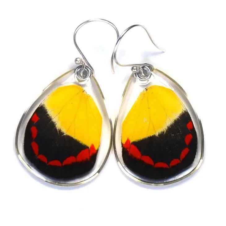 Delaila's Sterling Silver Earrings - Creative Freedom Collective