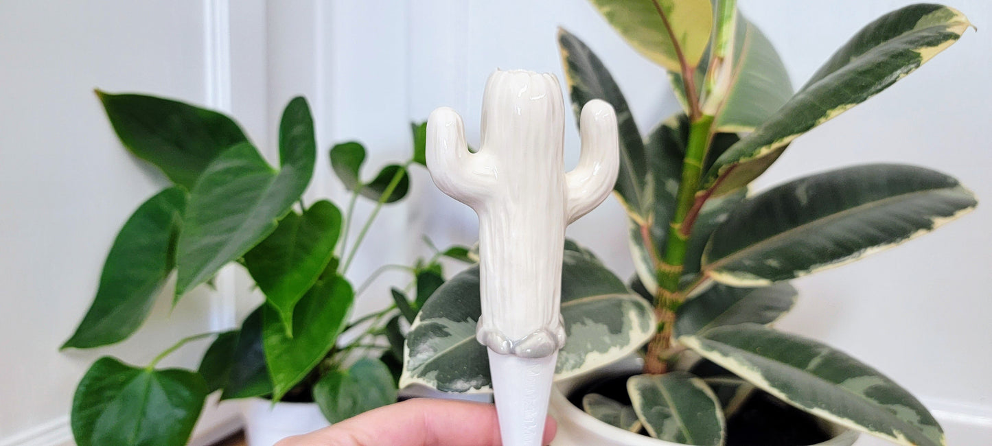 Cactus Watering Spike Mountain Mudworks