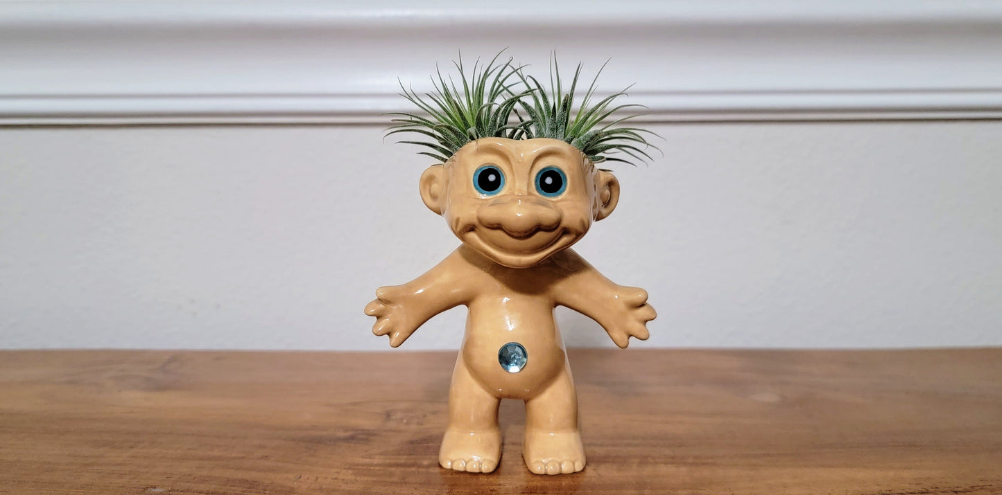 Treasure Troll Air Plant Holder Mountain Mudworks