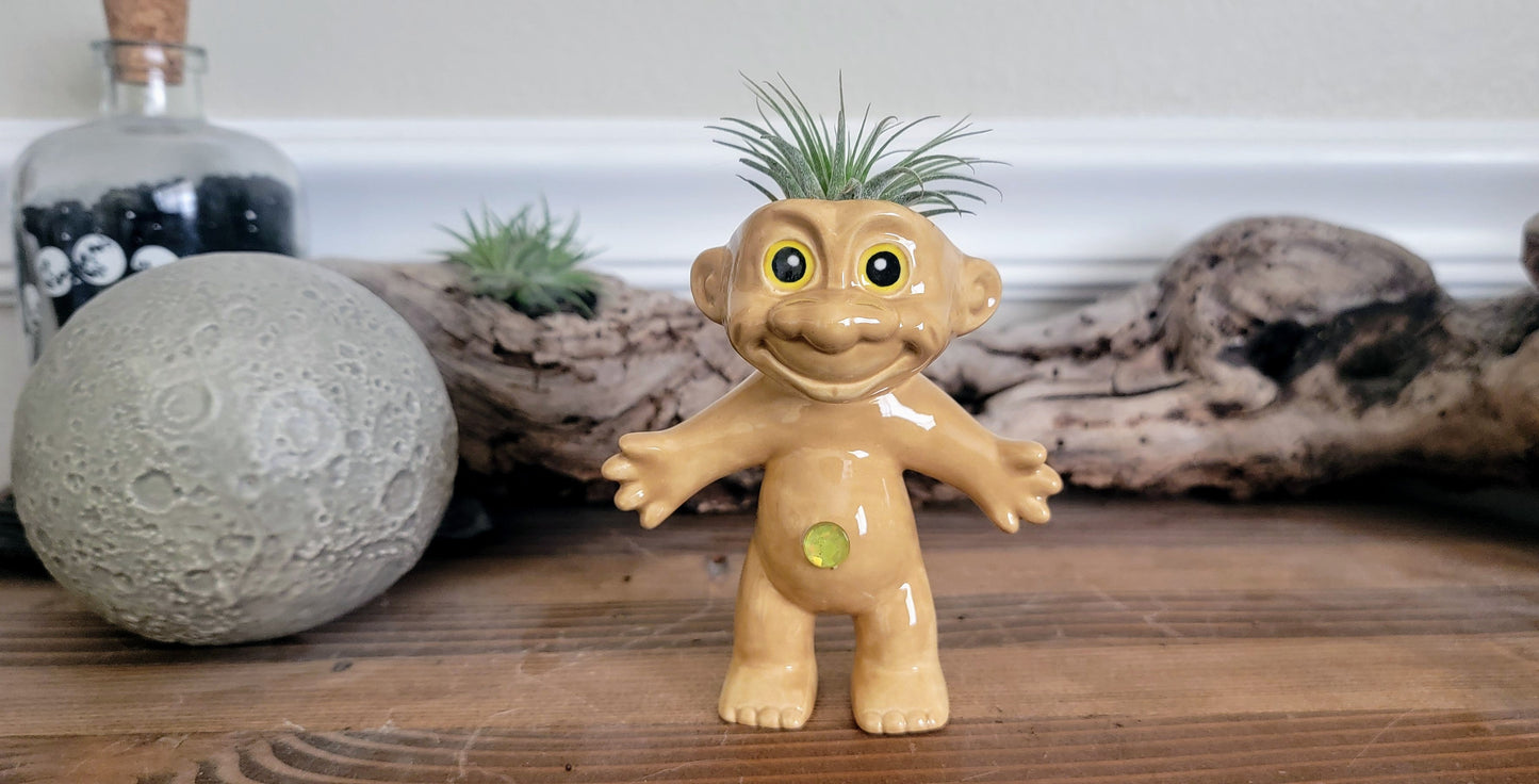 Treasure Troll Air Plant Holder Mountain Mudworks