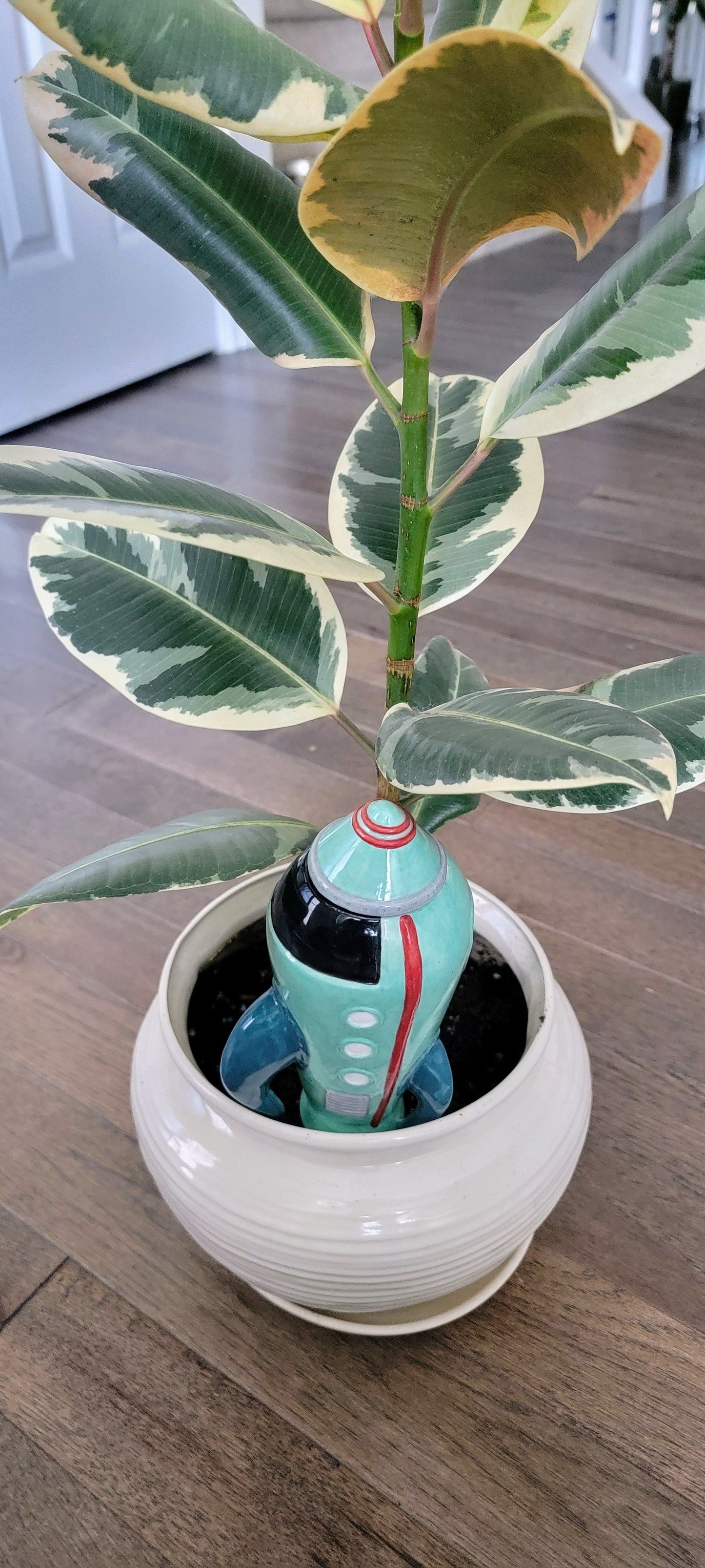 Rocketship Watering Spike Mountain Mudworks