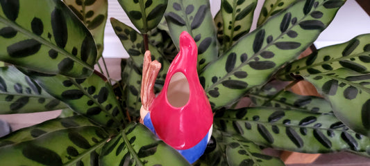 Hiking Gnome Watering Spike Mountain Mudworks