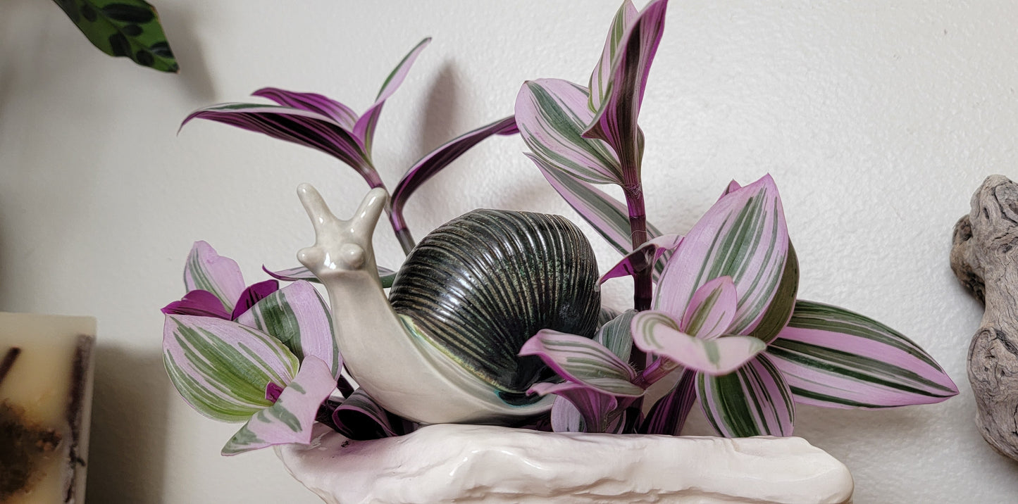 Snail Watering Spike Mountain Mudworks