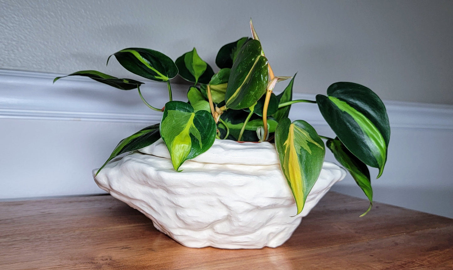 Large Natural Stone Self Watering / African Violet Pot Mountain Mudworks