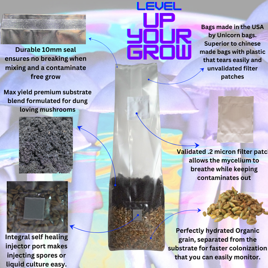 Mushroom Grow Kit - 4 Pack - All In One
