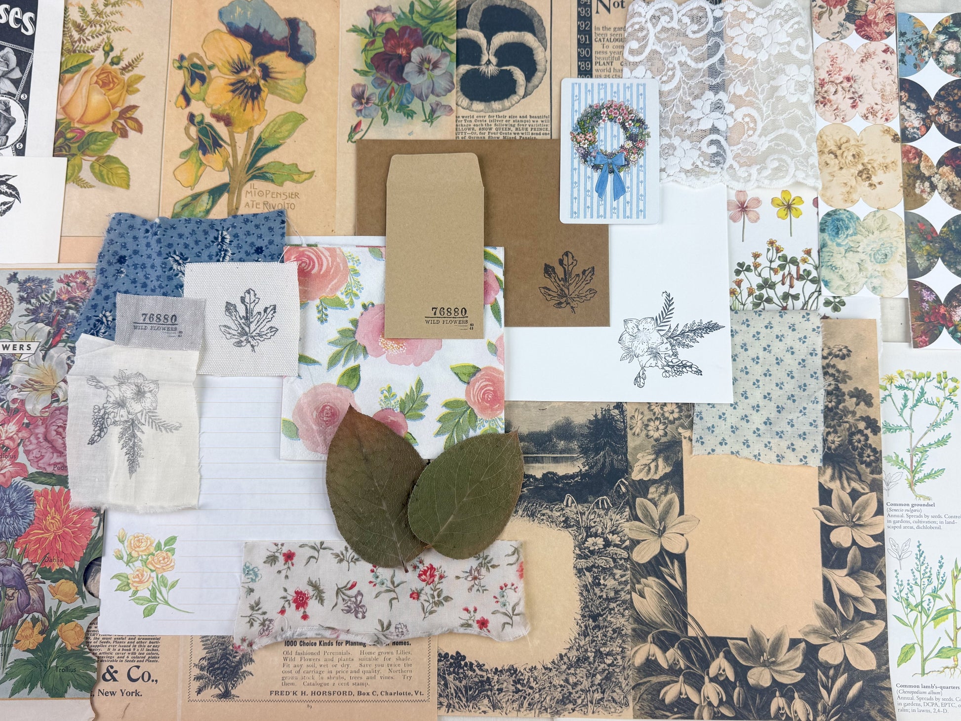 Botanical and Nature Ephemera Kit A House of Books