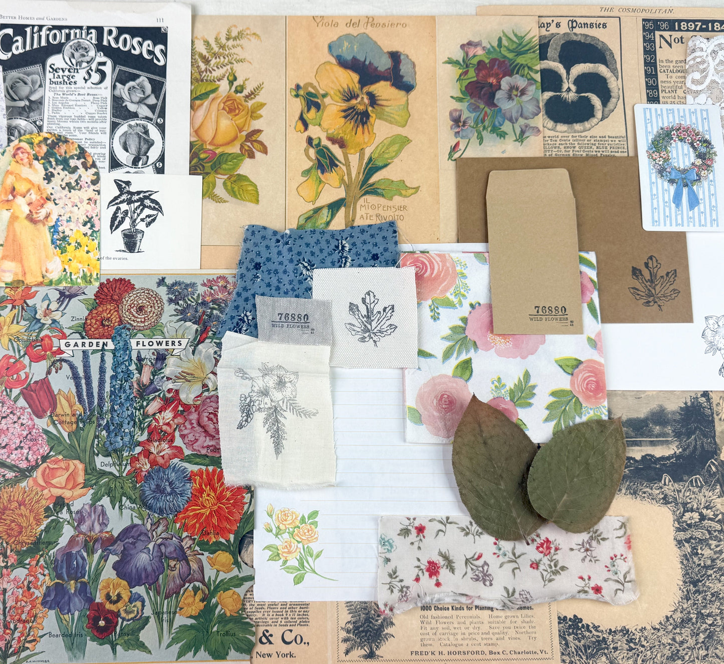 Botanical and Nature Ephemera Kit A House of Books