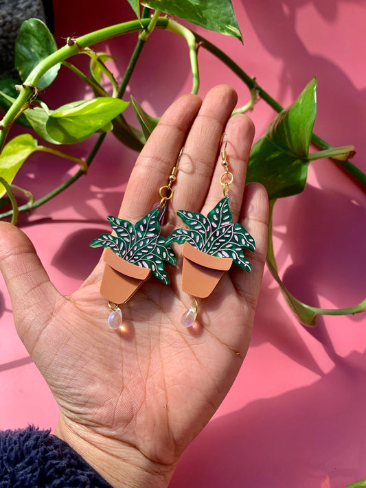 Terracotta Plants Acrylic Earrings Quirks!
