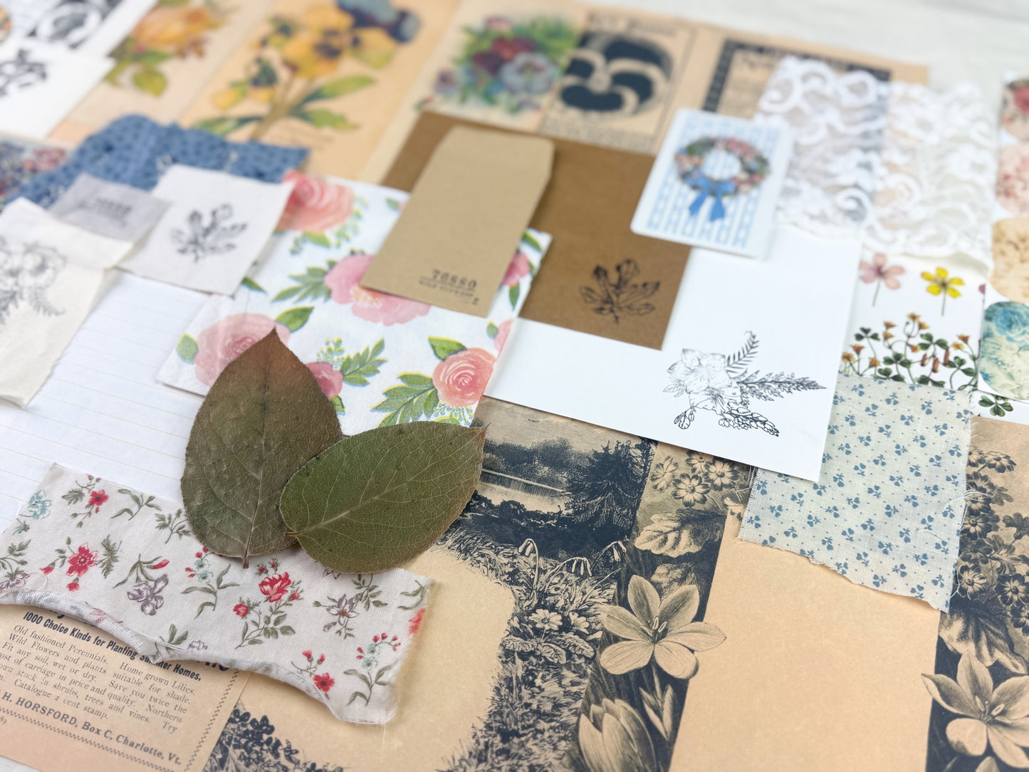 Botanical and Nature Ephemera Kit A House of Books