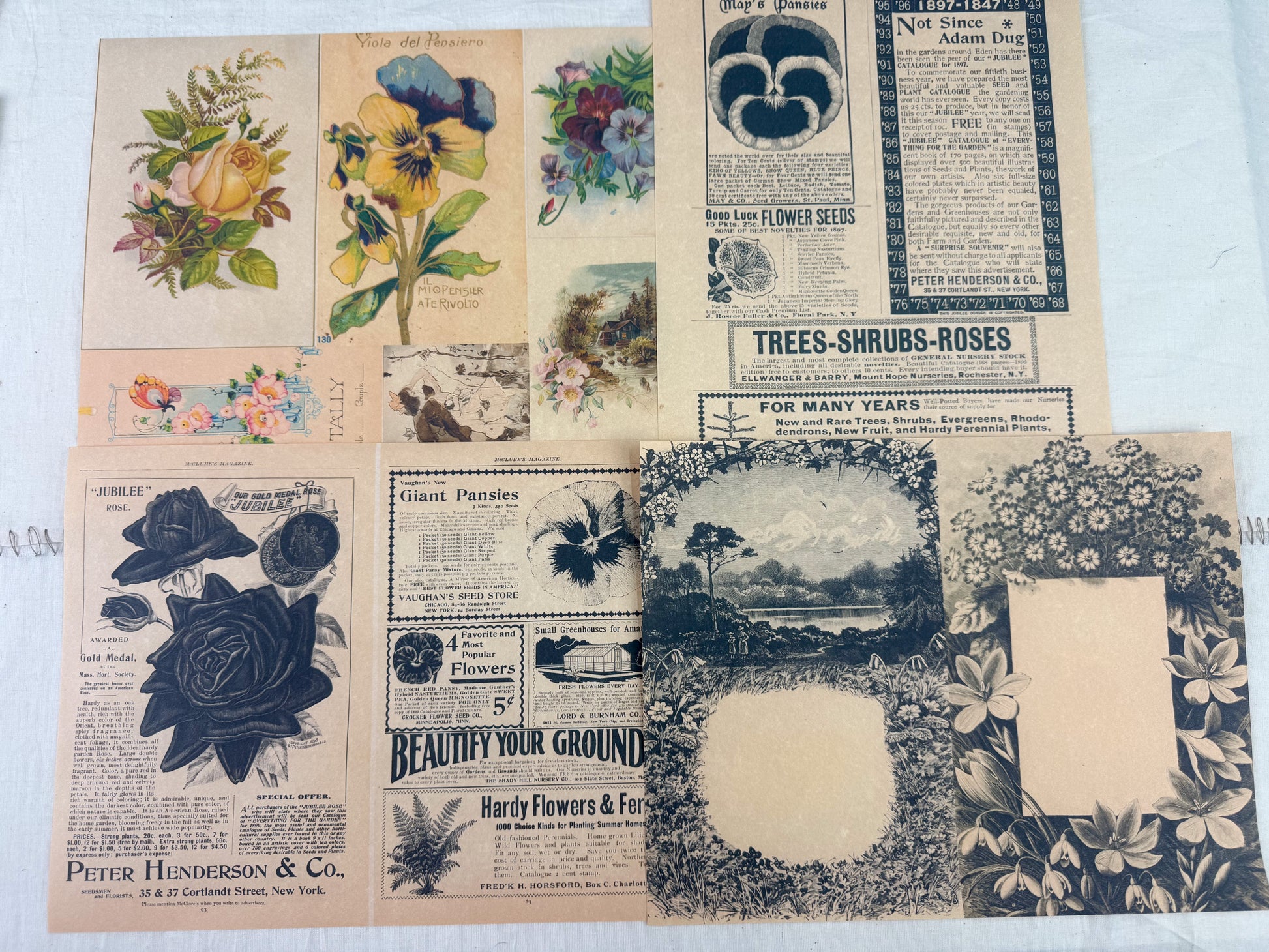 Botanical and Nature Ephemera Kit A House of Books