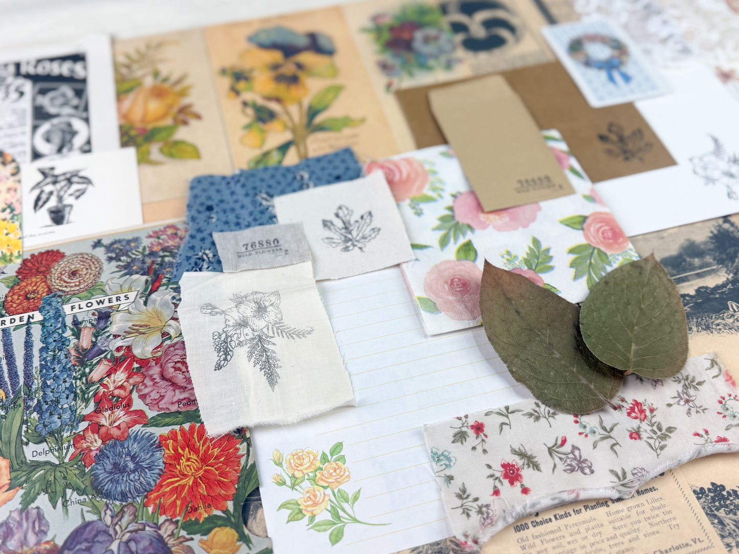 Botanical and Nature Ephemera Kit A House of Books