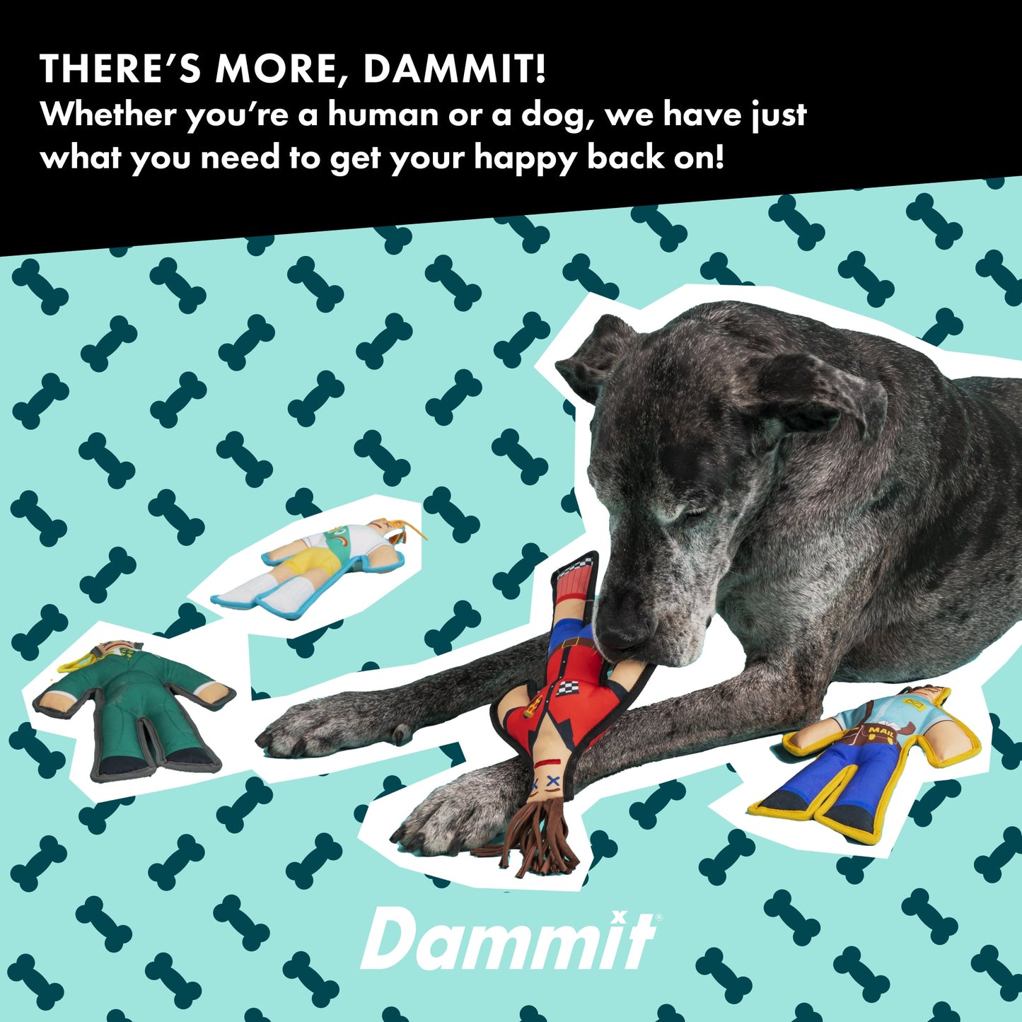 Cookie Scout Squeaky Chew Toy