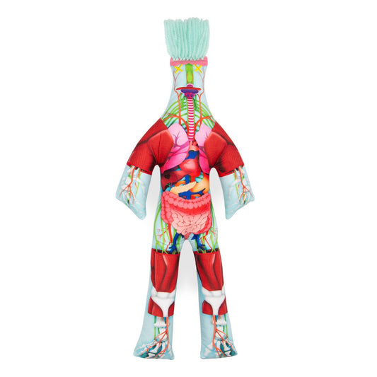 The Anatomy Doll Dammit Dolls