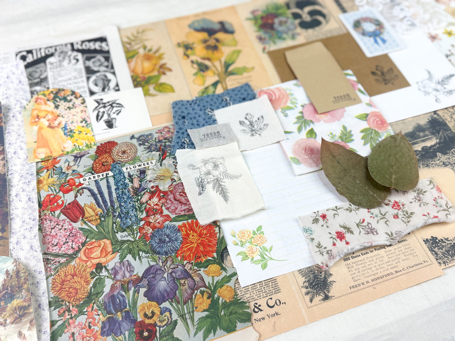 Botanical and Nature Ephemera Kit A House of Books