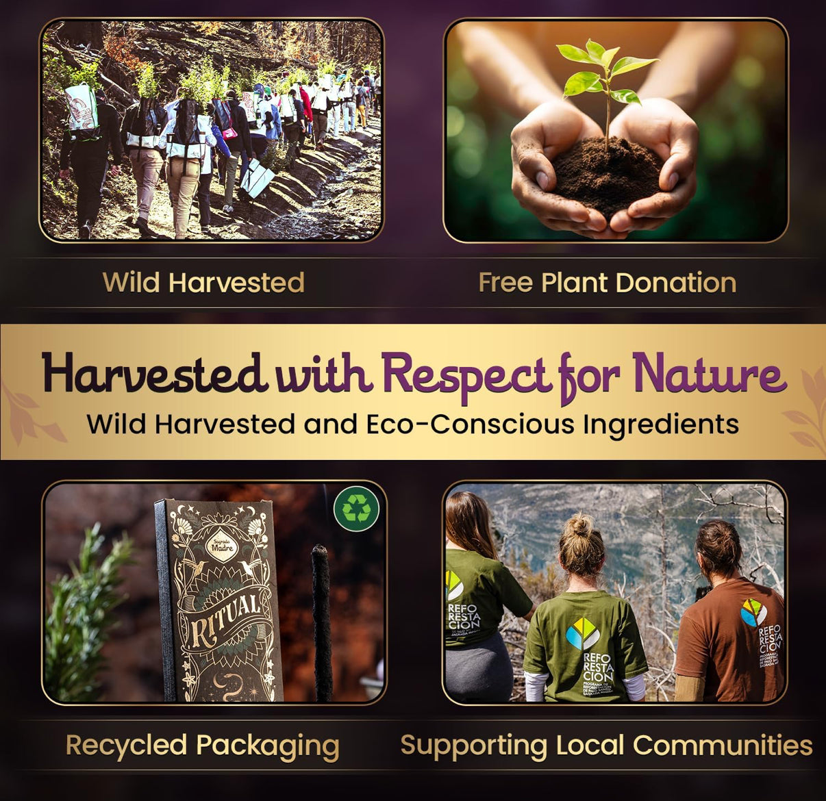 Sandalwood Palo Santo Incense