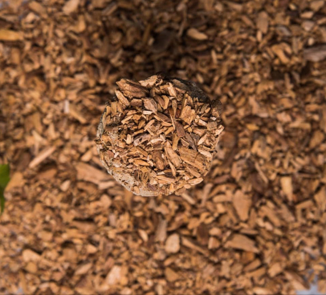 Palo Santo Herbal Gift Box | Purification