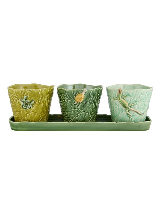 SET OF 3 TERRESTRIAL INSECT Flower/Herb Pots Fragola
