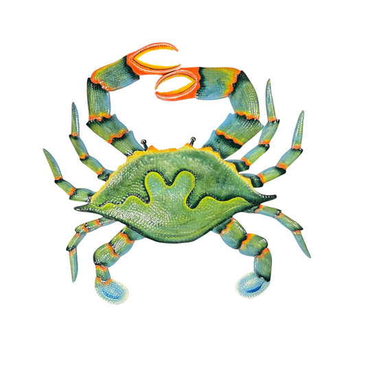 Mr. Crab- Green Papillon Marketplace Online