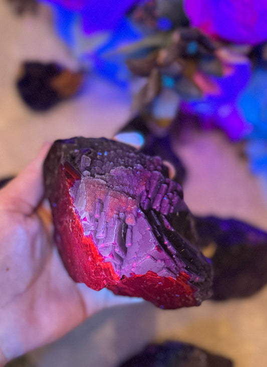 RARE Black Rose Fluorite Specimens, Fluoresce Red or Pink