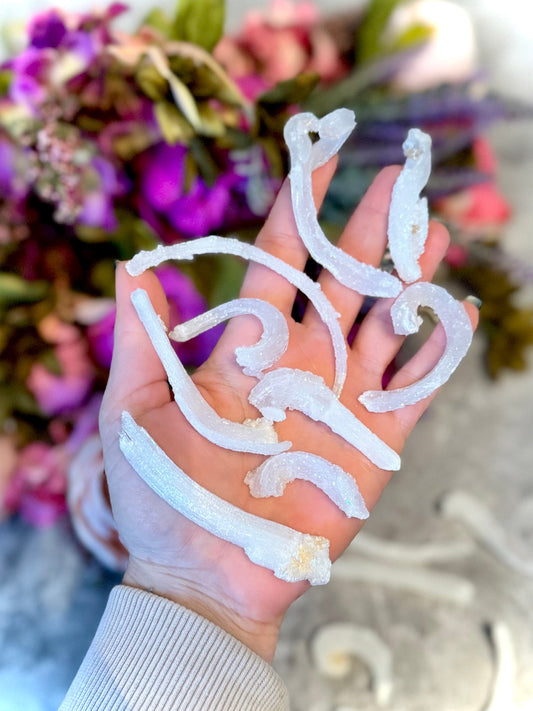 Ram's Horn Selenite, Rare Mineral Specimen