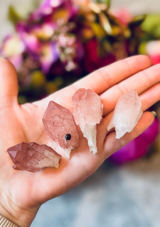 Scepter Quartz From India, New Find! with Pink Hematite