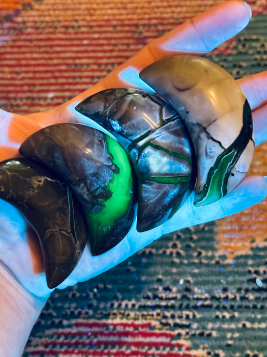 Volcano Agate Crescent Moon, UV Green Fluorescent Minerals Mandala Gems