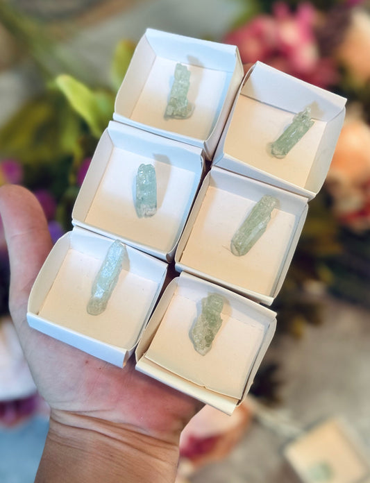 Etched Aquamarine Specimens from Brazil