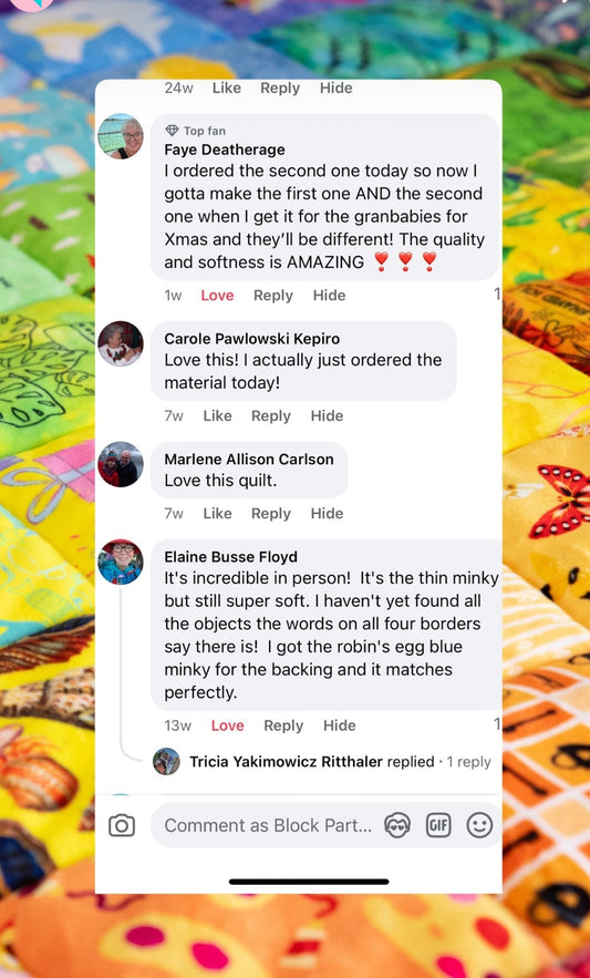 Hidden Pictures Blue Minky Quilt Panel - Original