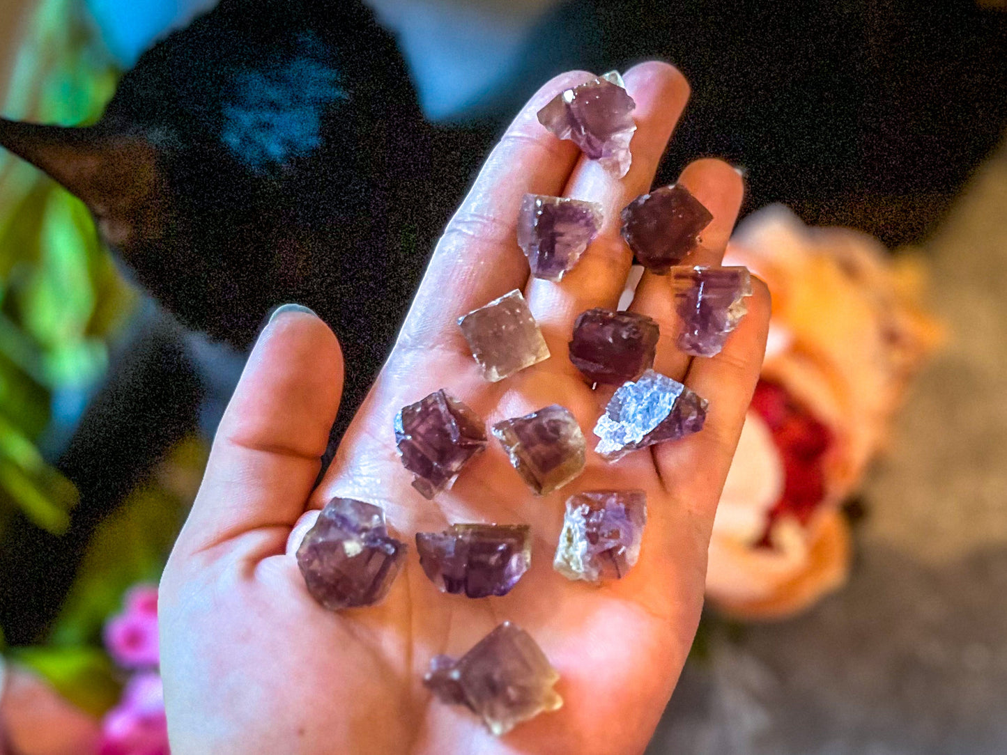 ANHUI Yellow Fluorite with Thousand Layer Purple Phantoms, RARE Minerals