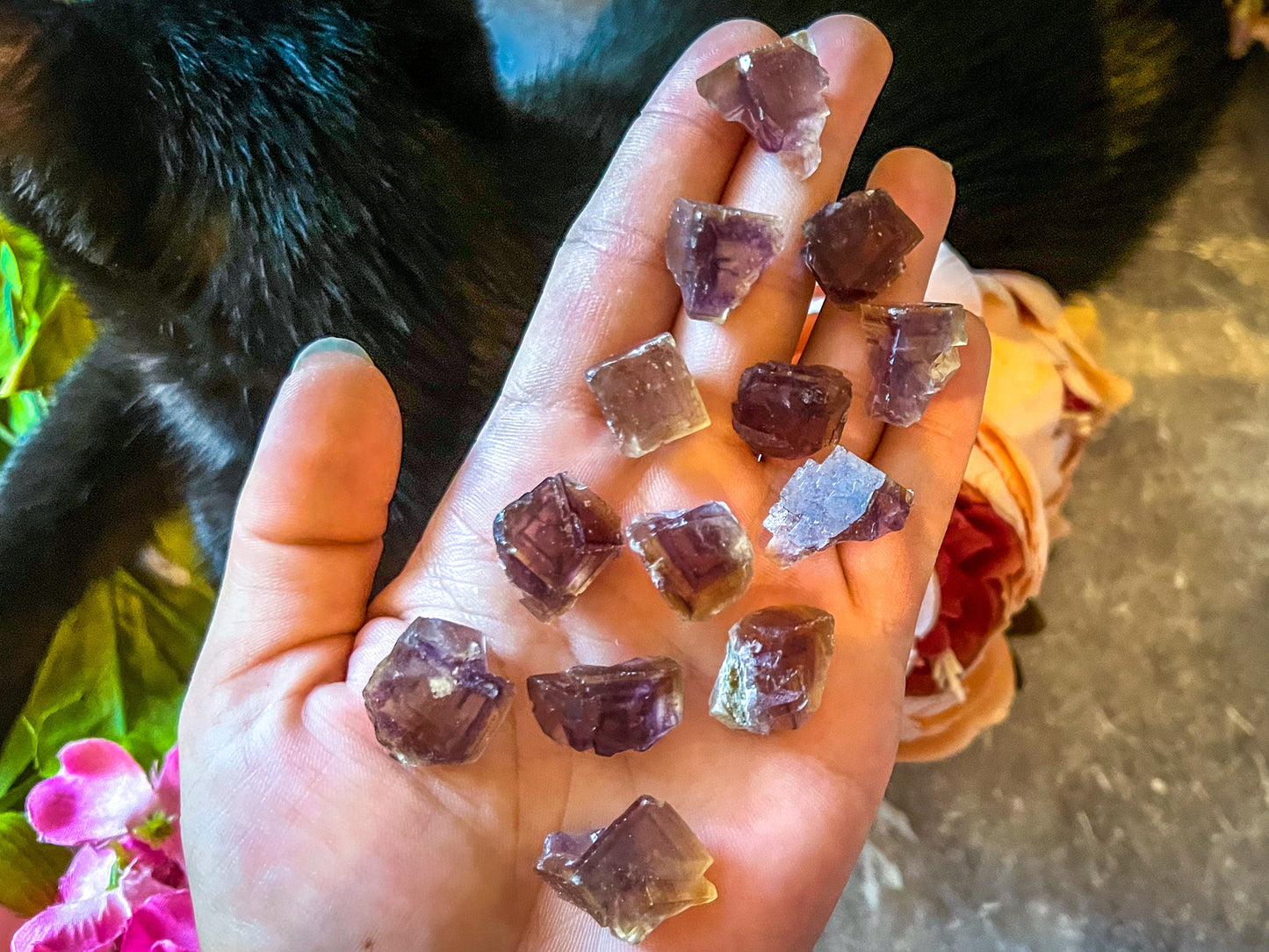 ANHUI Yellow Fluorite with Thousand Layer Purple Phantoms, RARE Minerals