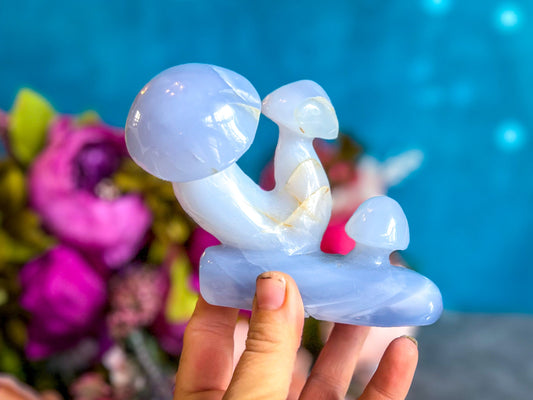 Beautiful 5" Blue Chalcedony MUSHROOM Sculpture