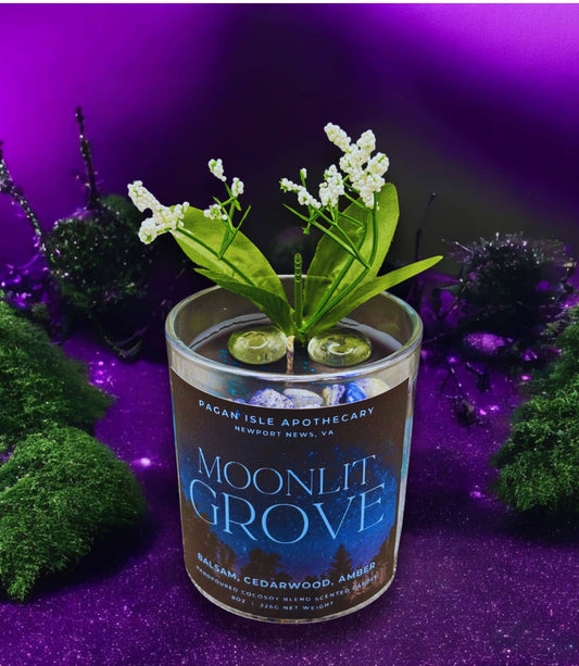 Moonlit Grove Magical Forest Candle Pagan Isle Apothecary