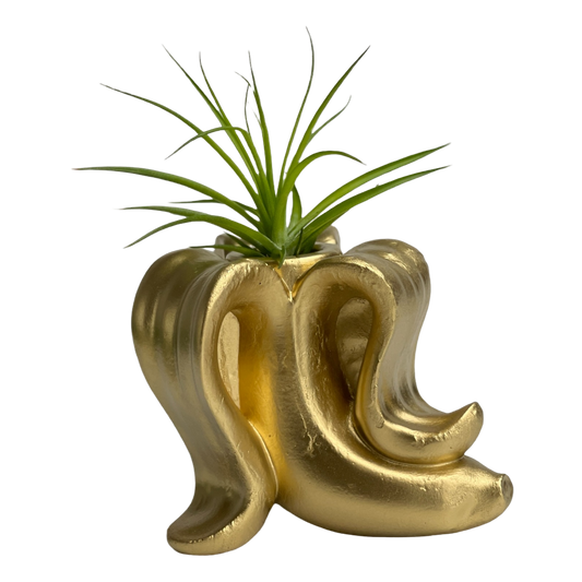 Banana Air Plant Holder AURA 8 HOME
