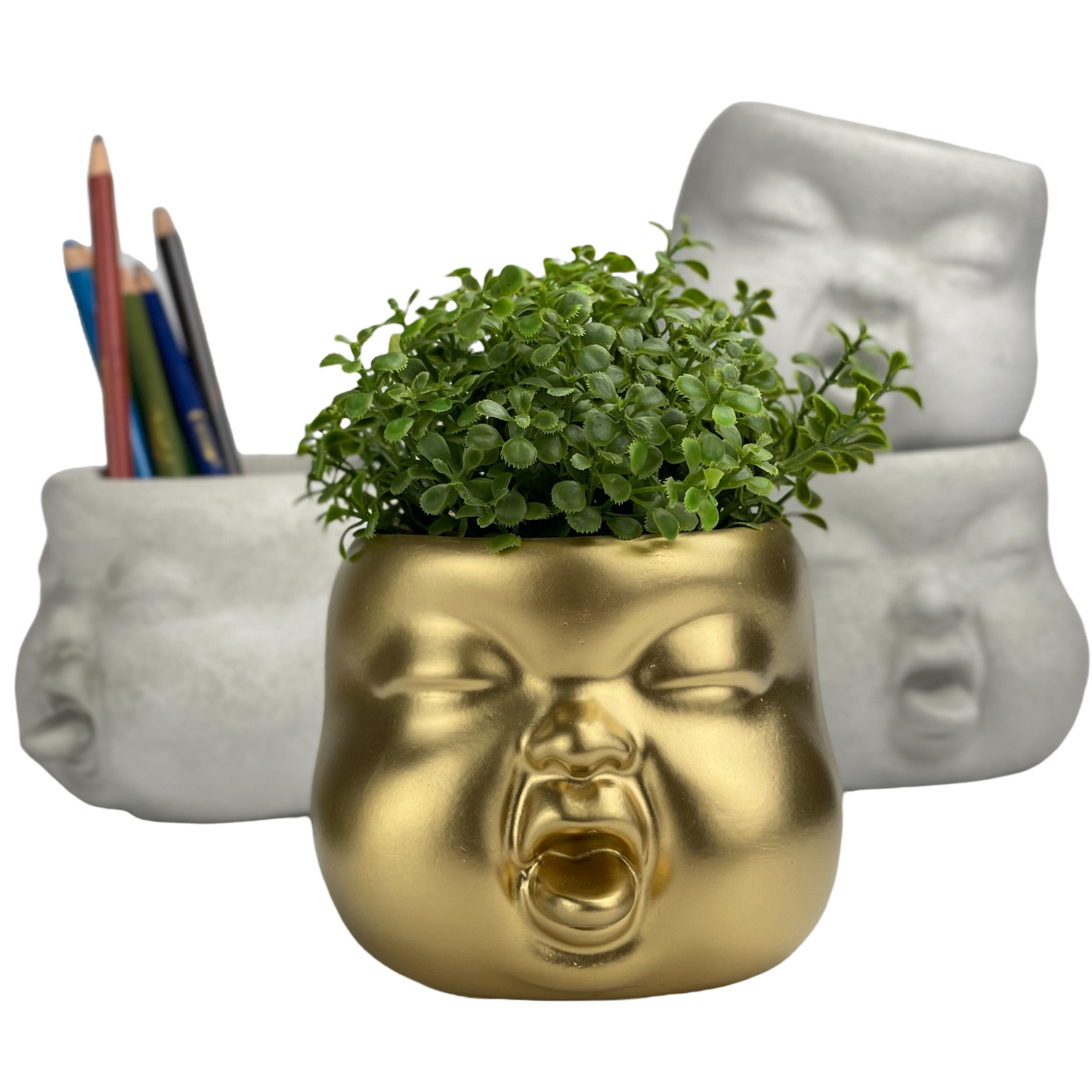 Baby Face Succulent Planter