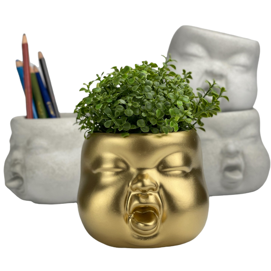 Baby Face Succulent Planter AURA 8 HOME