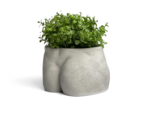 Male Body Planter Pot | Butt AURA 8 HOME