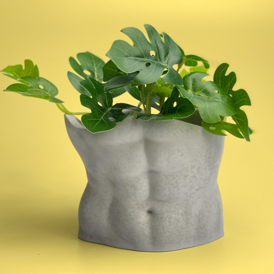 Male Body Planter Pot | TORSO AURA 8 HOME