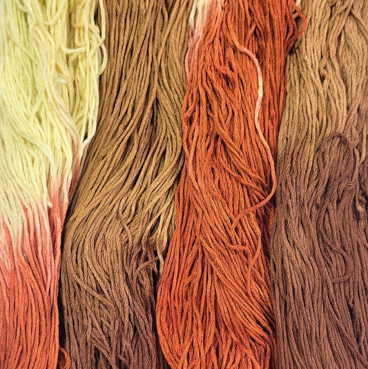 Spicy Cocoa - Flower Silk Special Edition Colorway StitchyBox