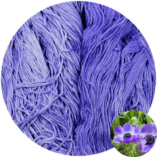 Anemone - Flower Silk by StitchyBox (Standard Colorway)