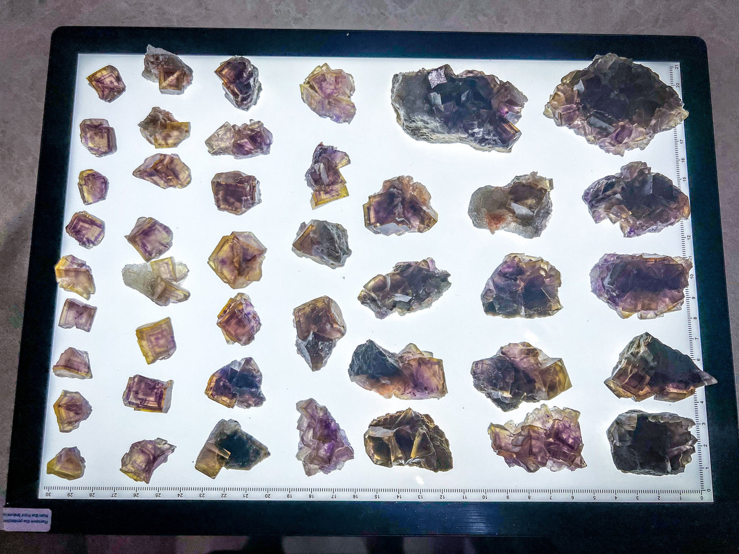 ANHUI Yellow Fluorite with Thousand Layer Purple Phantoms, RARE Minerals