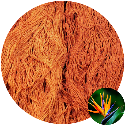 Bird of Paradise - Flower Silk by StitchyBox (Standard Colorway)