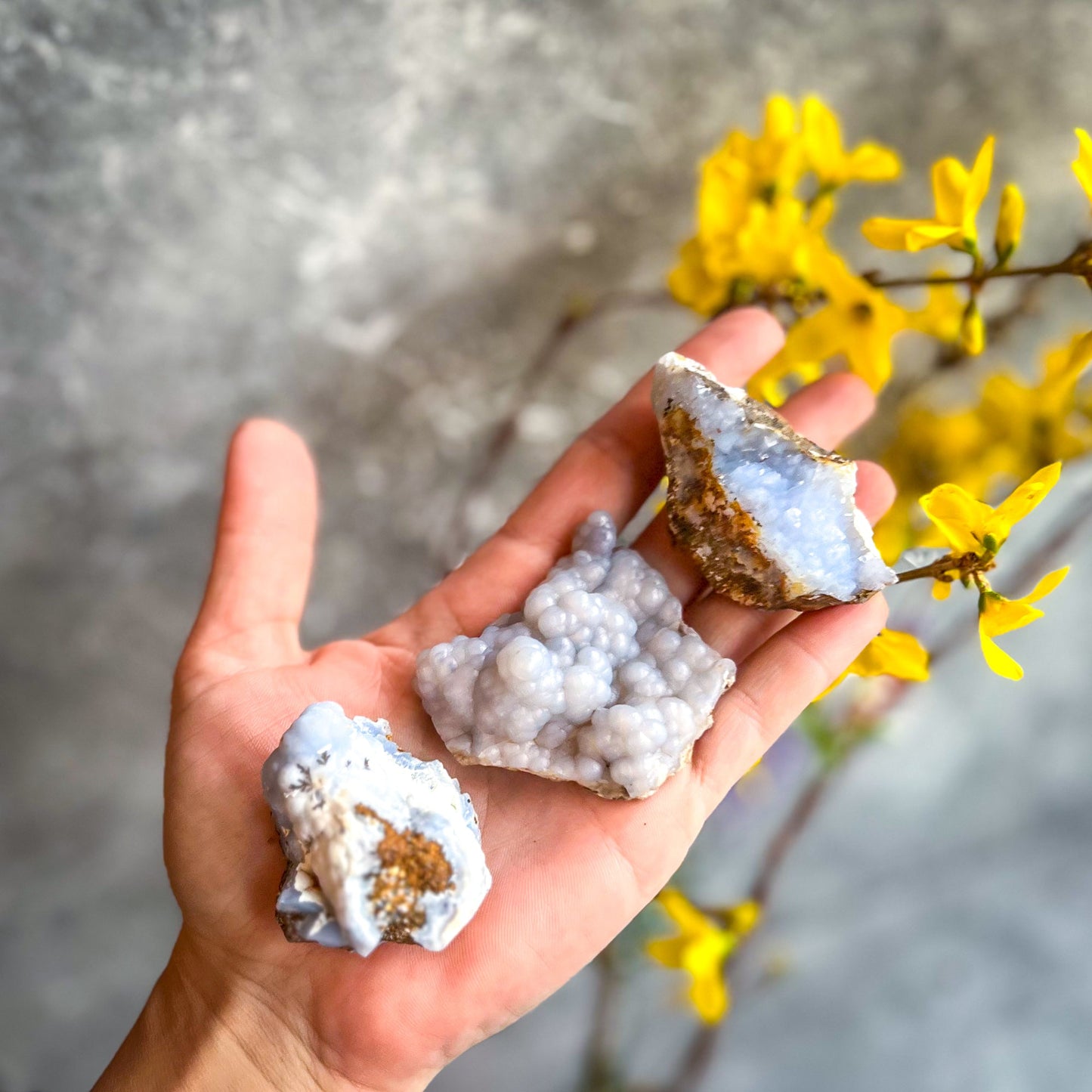 Raw Blue Chalcedony Specimens