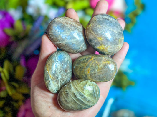 Chocolate Moonstone Crystal Palmstones