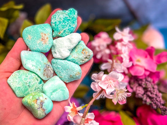 POLISHED CHRYSOPRASE Specimens Mandala Gems