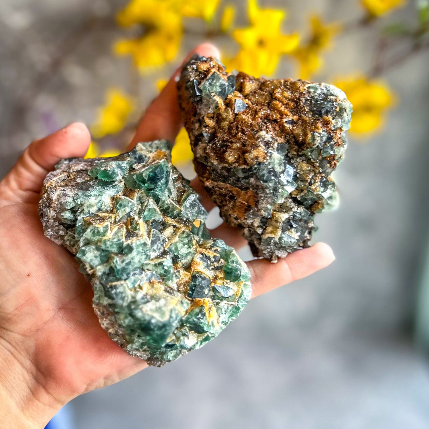 Druzy Dreams Pocket Fluorite Clusters (Color Change) Diana Maria Mine, Fluorescent Fluorite