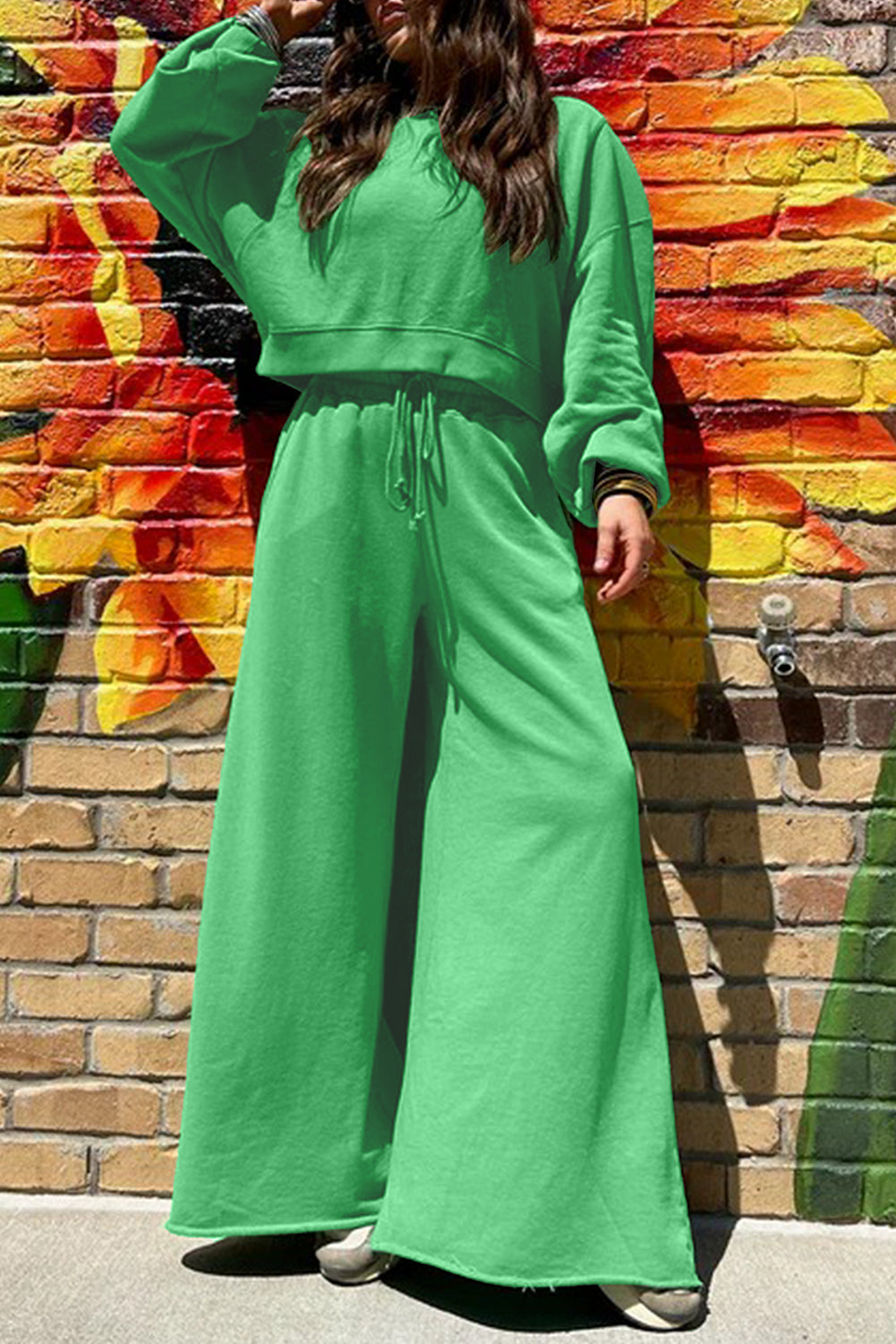Flamingo Drop Shoulder Crop Pullover Drawstring Wide Leg Pants Set Shewin