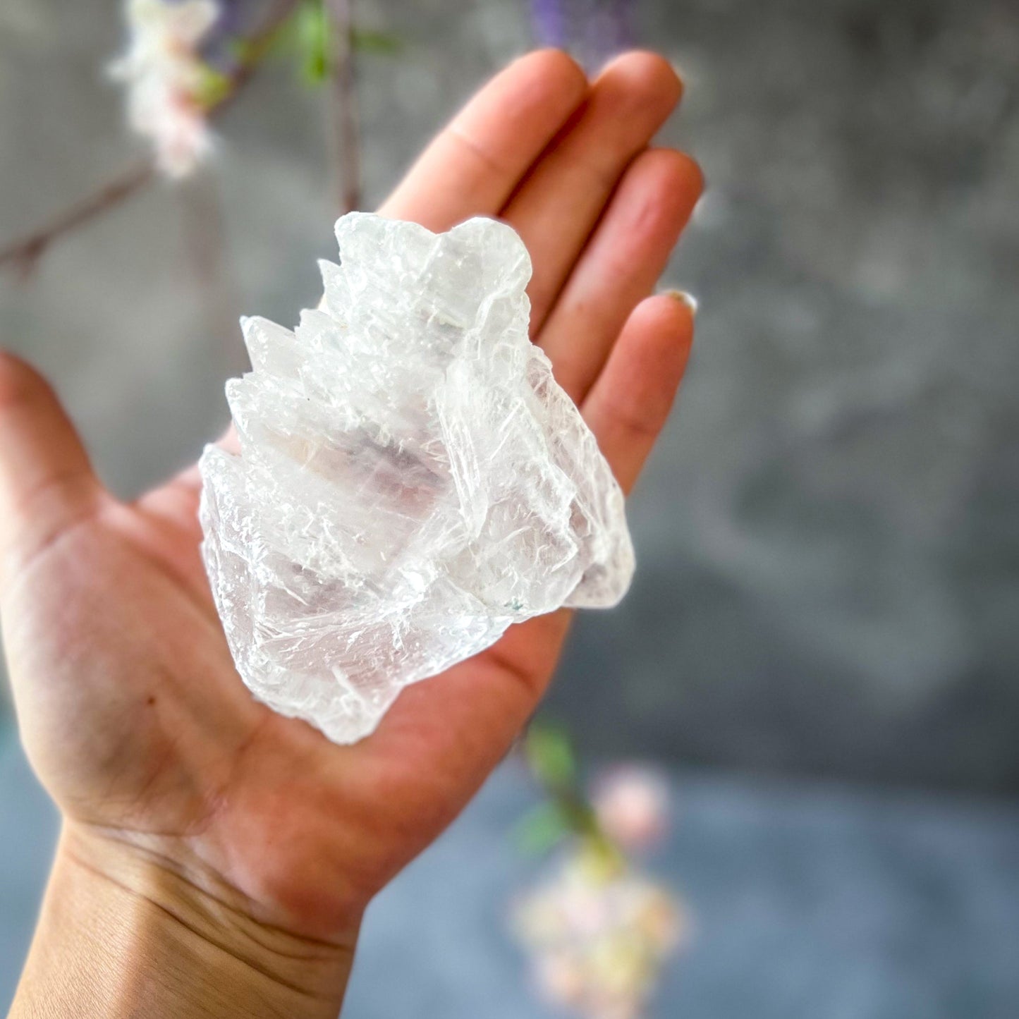 Fishtail Selenite Raw Specimens, Ethically Sourced Water Selenite