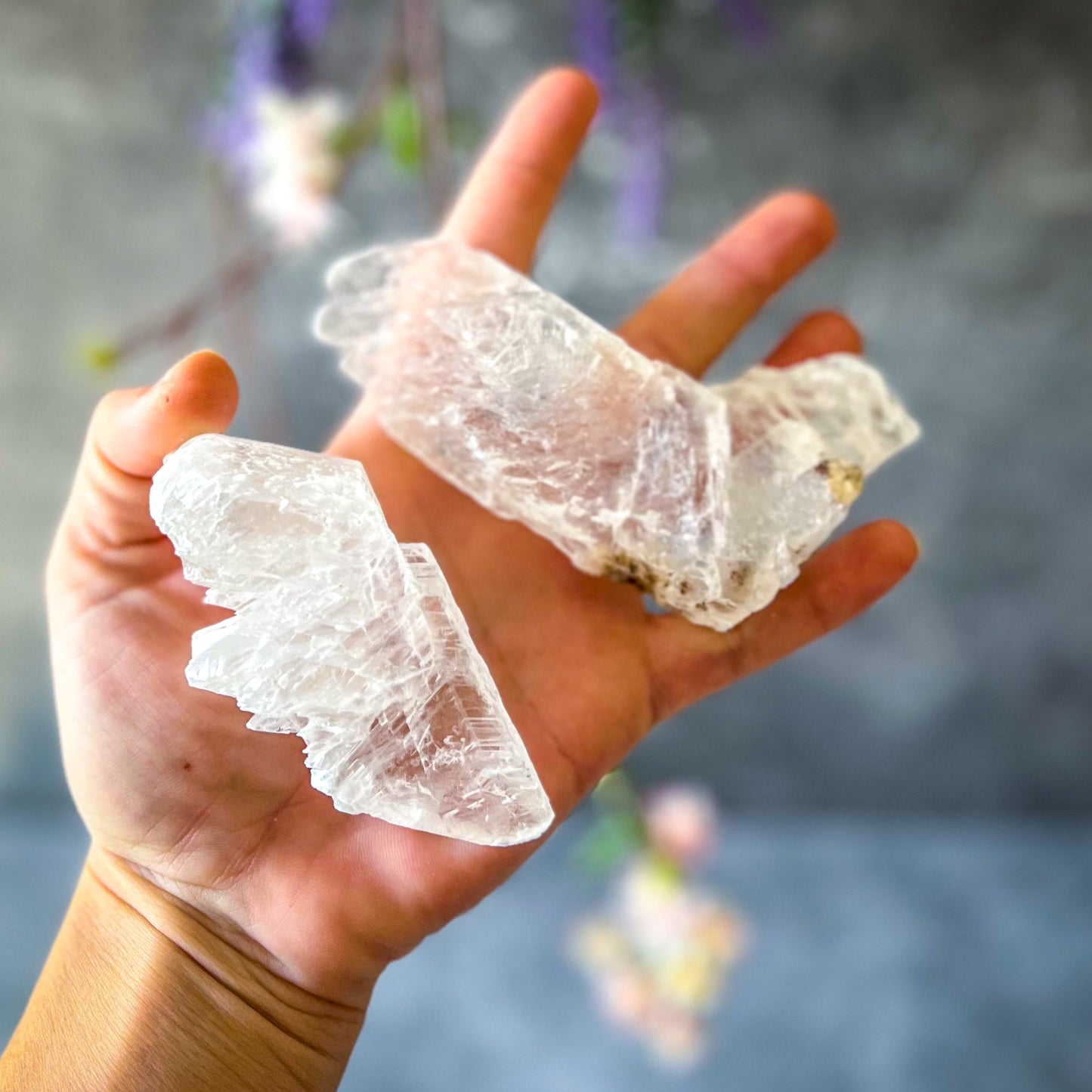 Fishtail Selenite Raw Specimens, Ethically Sourced Water Selenite