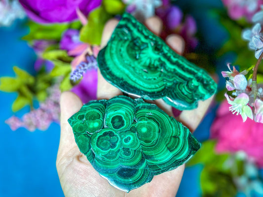 Polished Orbicular Malachite Slice Mandala Gems