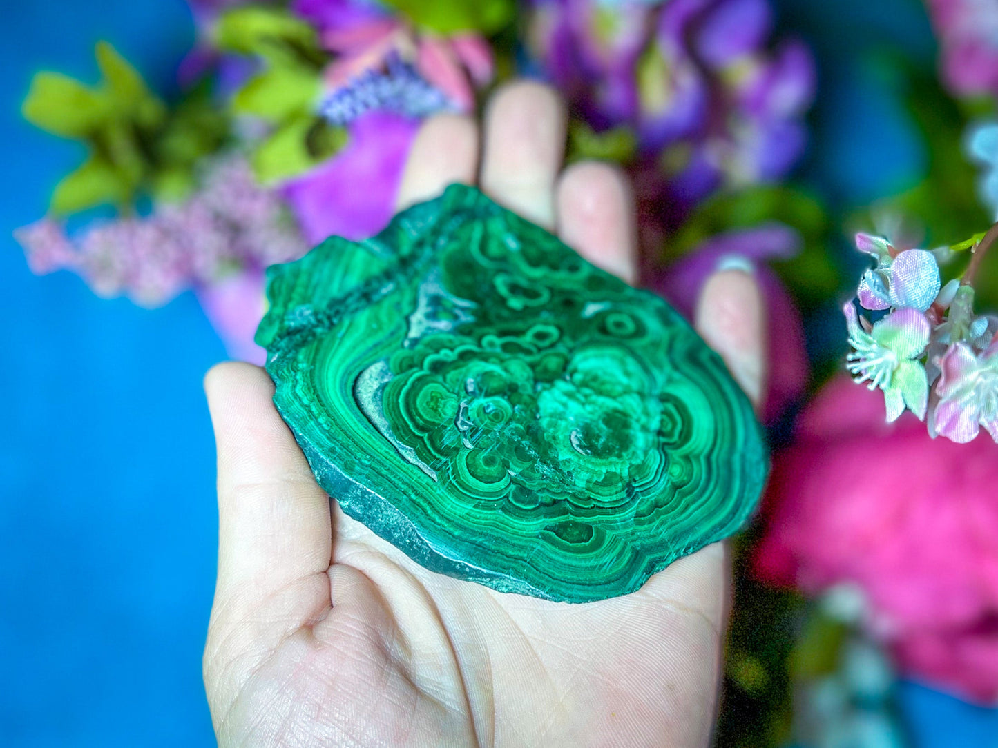 Polished Orbicular Malachite Slice